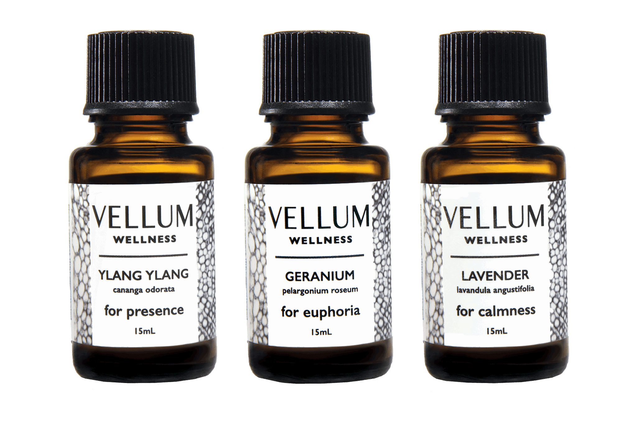 Geranium Essential Oil  Young Living Essential Oils